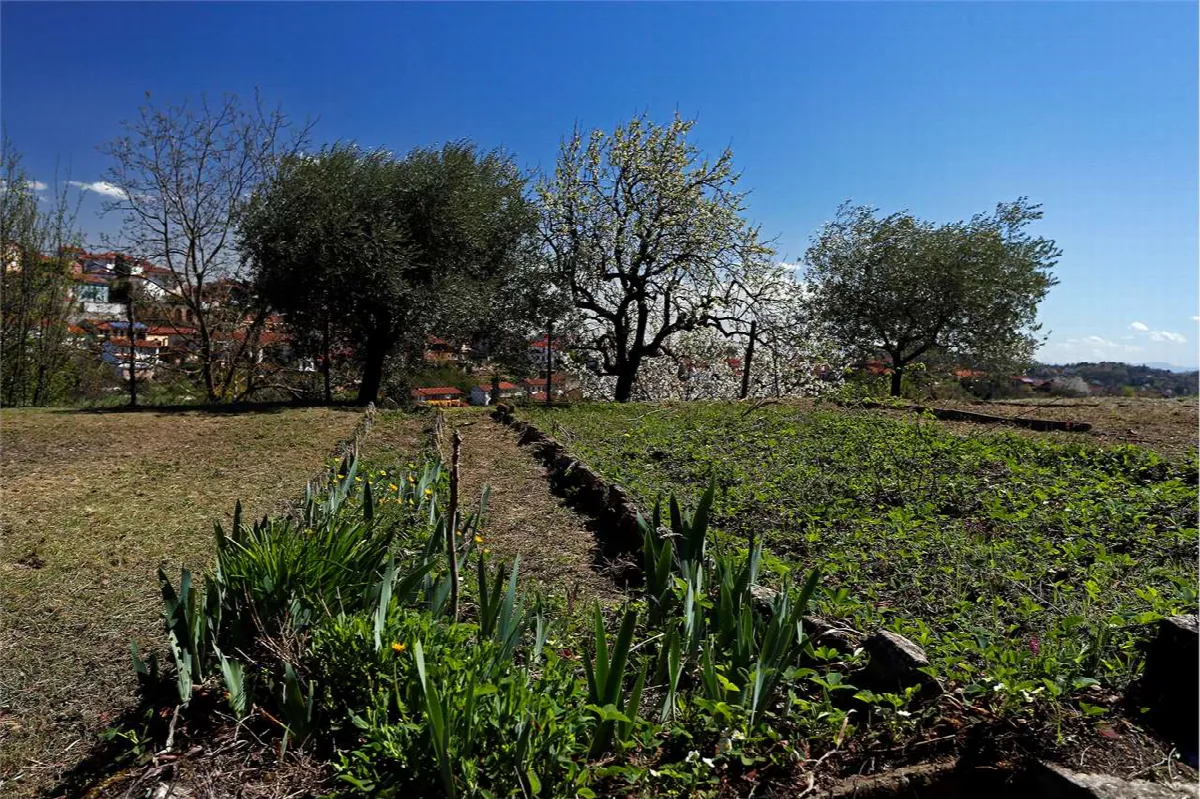Rustico in vendita a Montechiaro d'Asti - foto 7