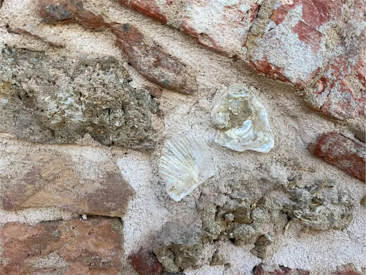 Rustico in vendita a Cortazzone - foto 7