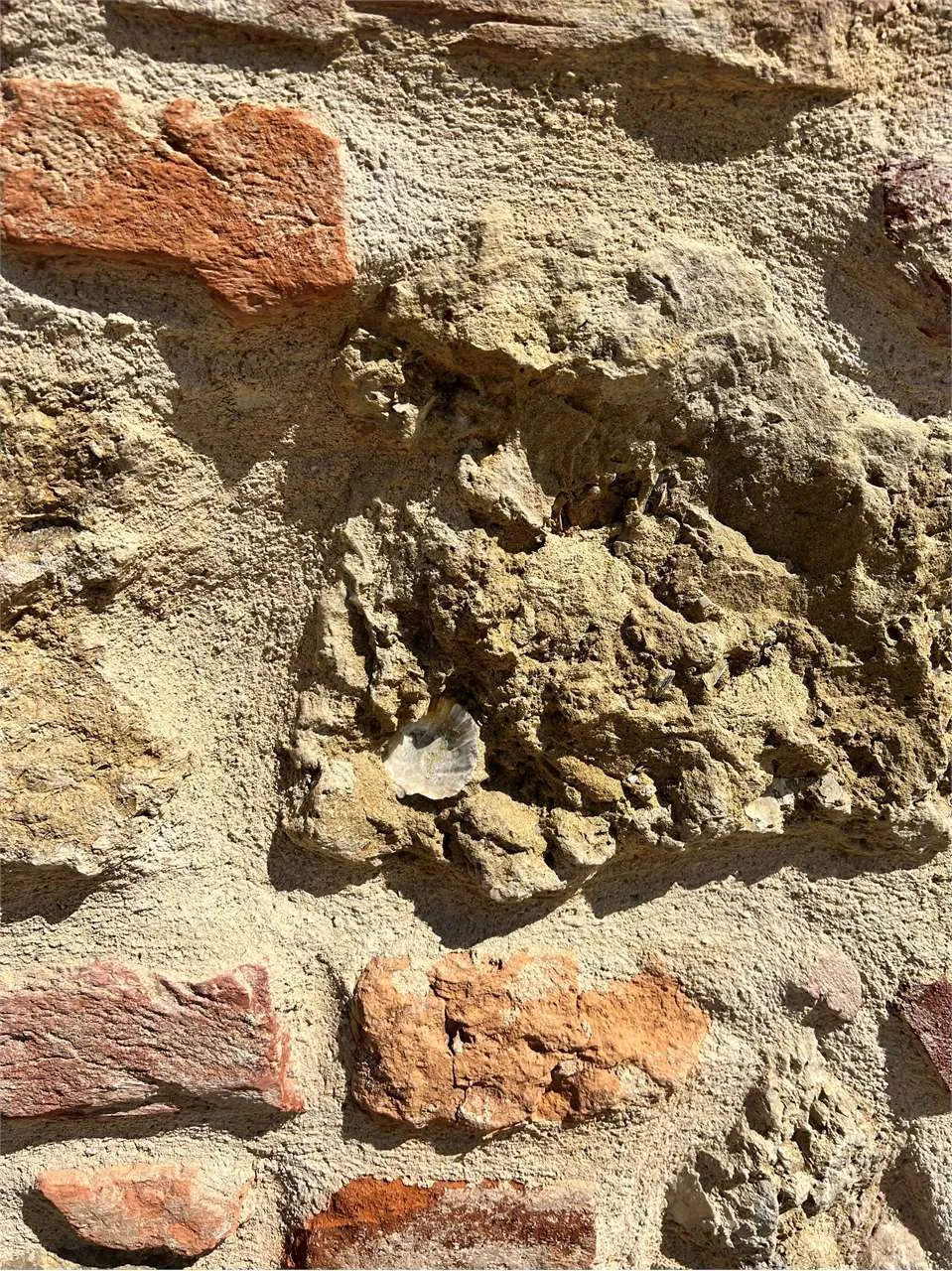 Rustico in vendita a Cortazzone - foto 8
