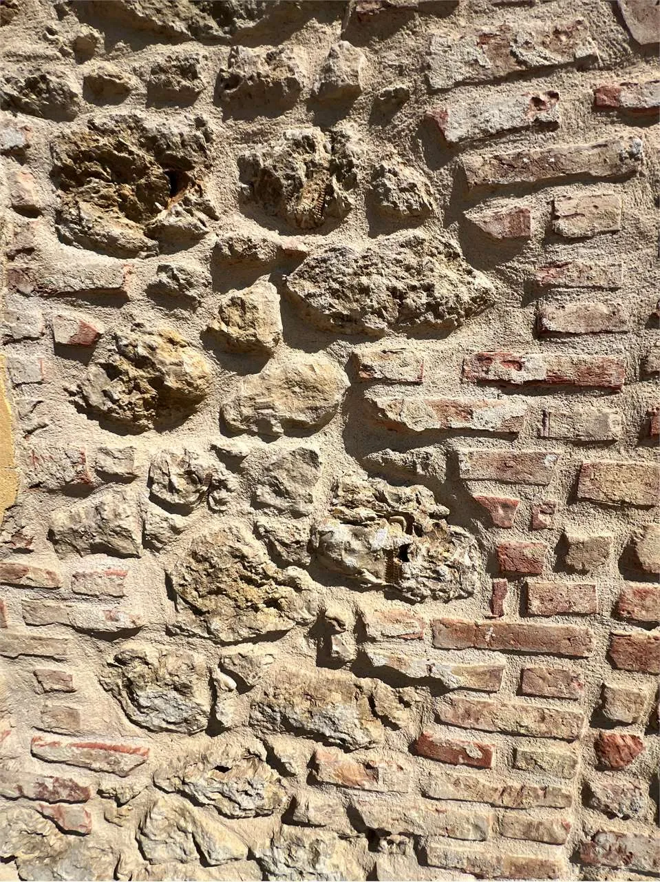Rustico in vendita a Cortazzone - foto 9