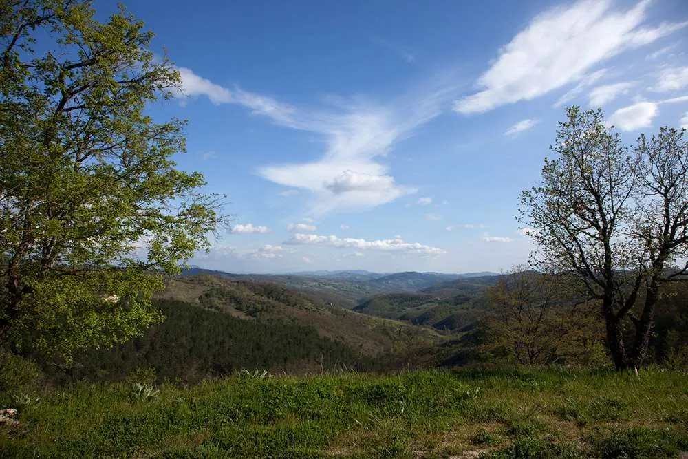 Rustico in vendita a Città di Castello - foto 10