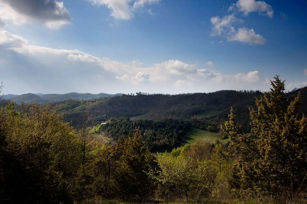Rustico in vendita a Città di Castello - foto 9