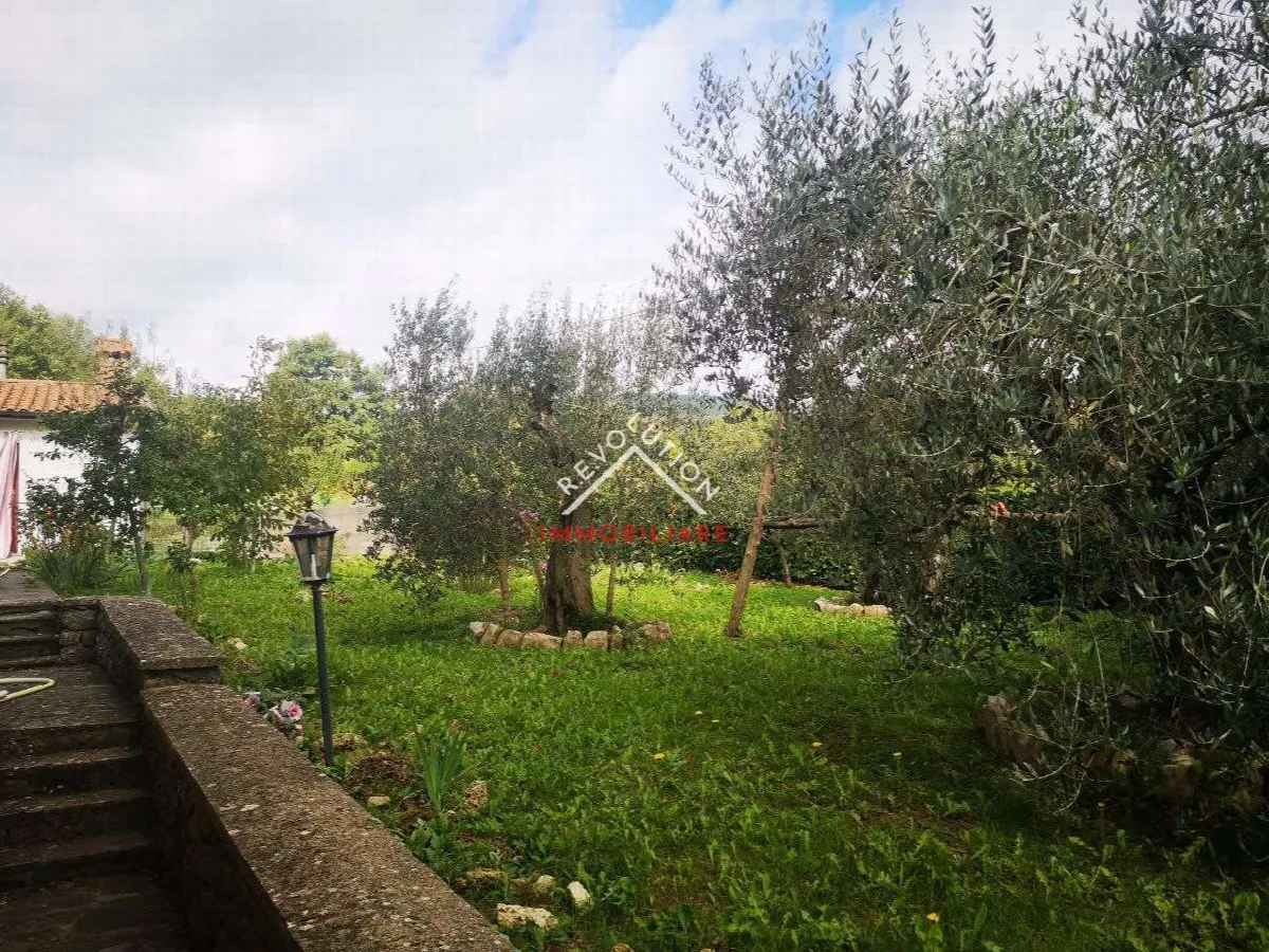 Villa in vendita a Caprese Michelangelo - Lama - foto 7