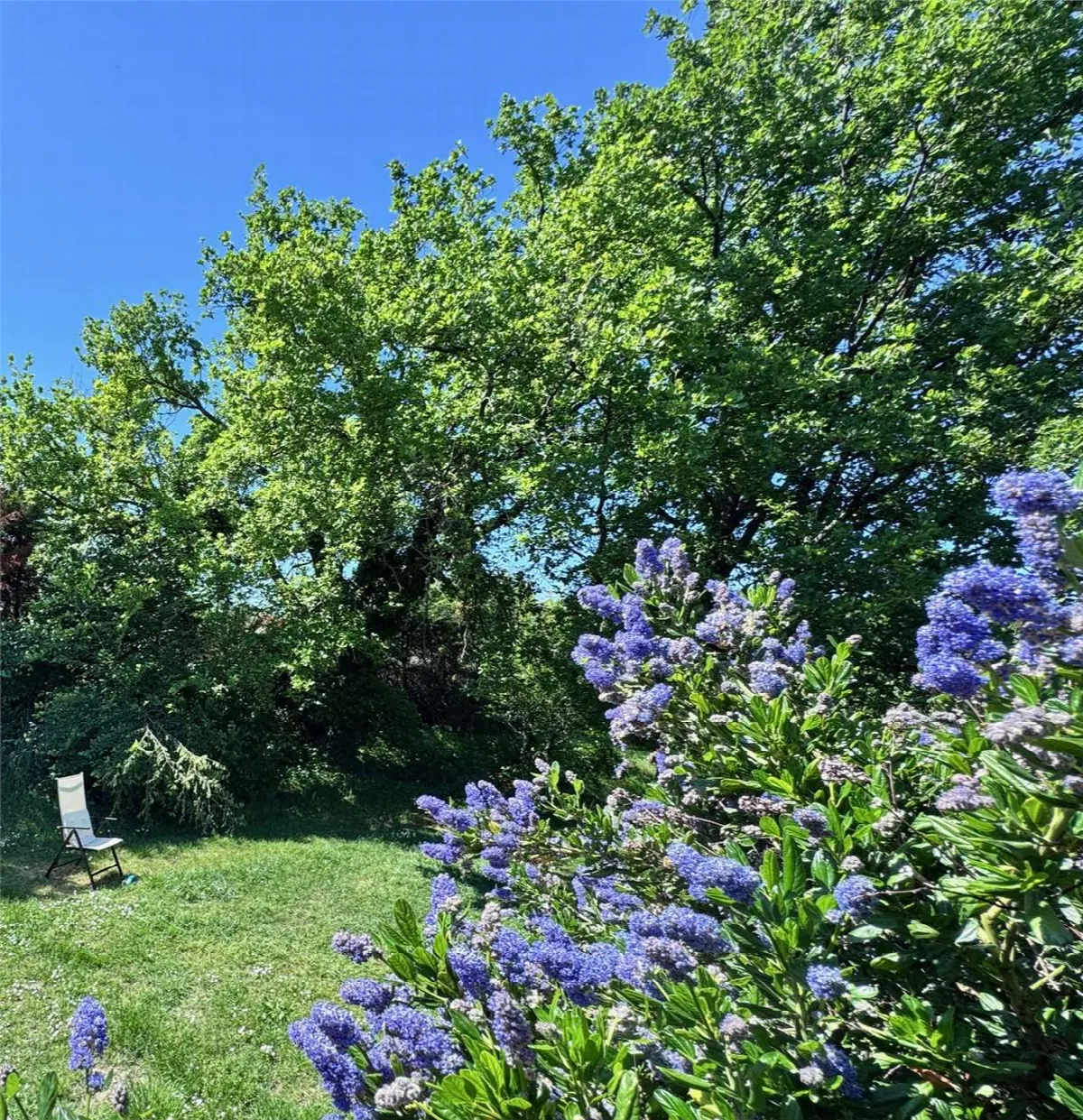 Villa in vendita a Rimini - foto 10