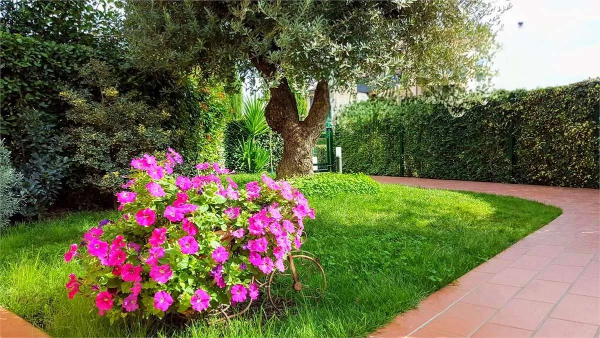 Appartamento in vendita a Rimini - foto 1