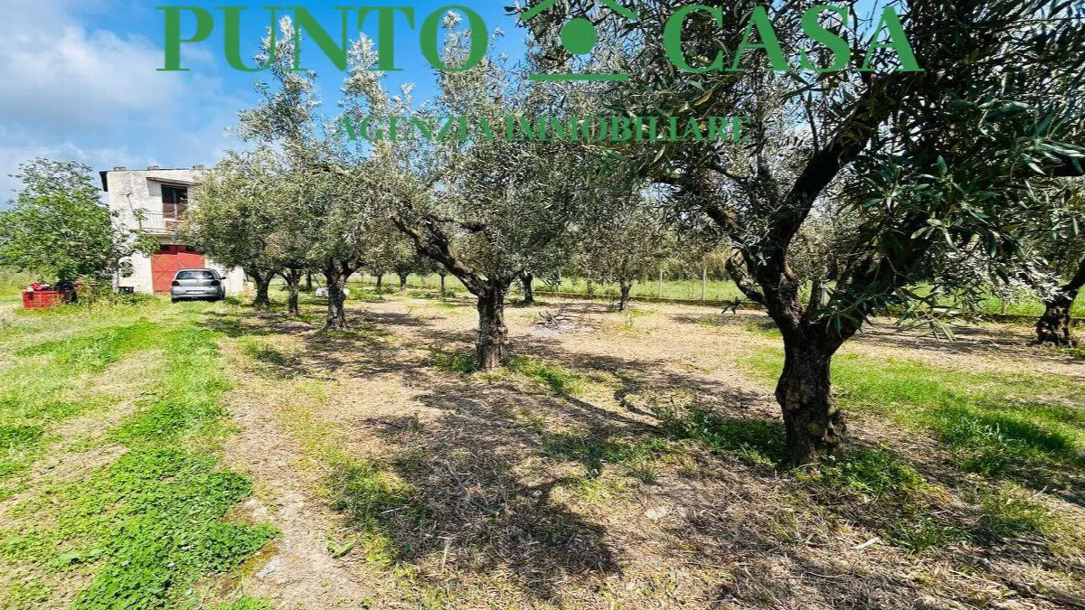 Rustico in vendita a Gizzeria - Mortilla - foto 1