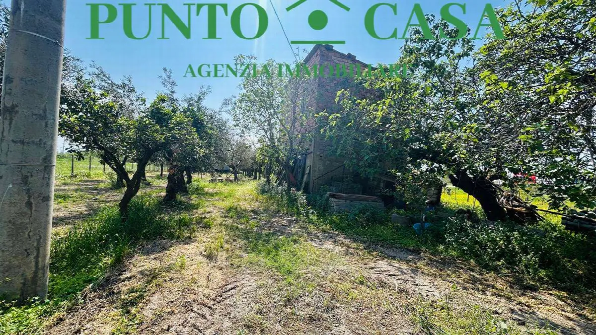 Rustico in vendita a Gizzeria - Mortilla - foto 10