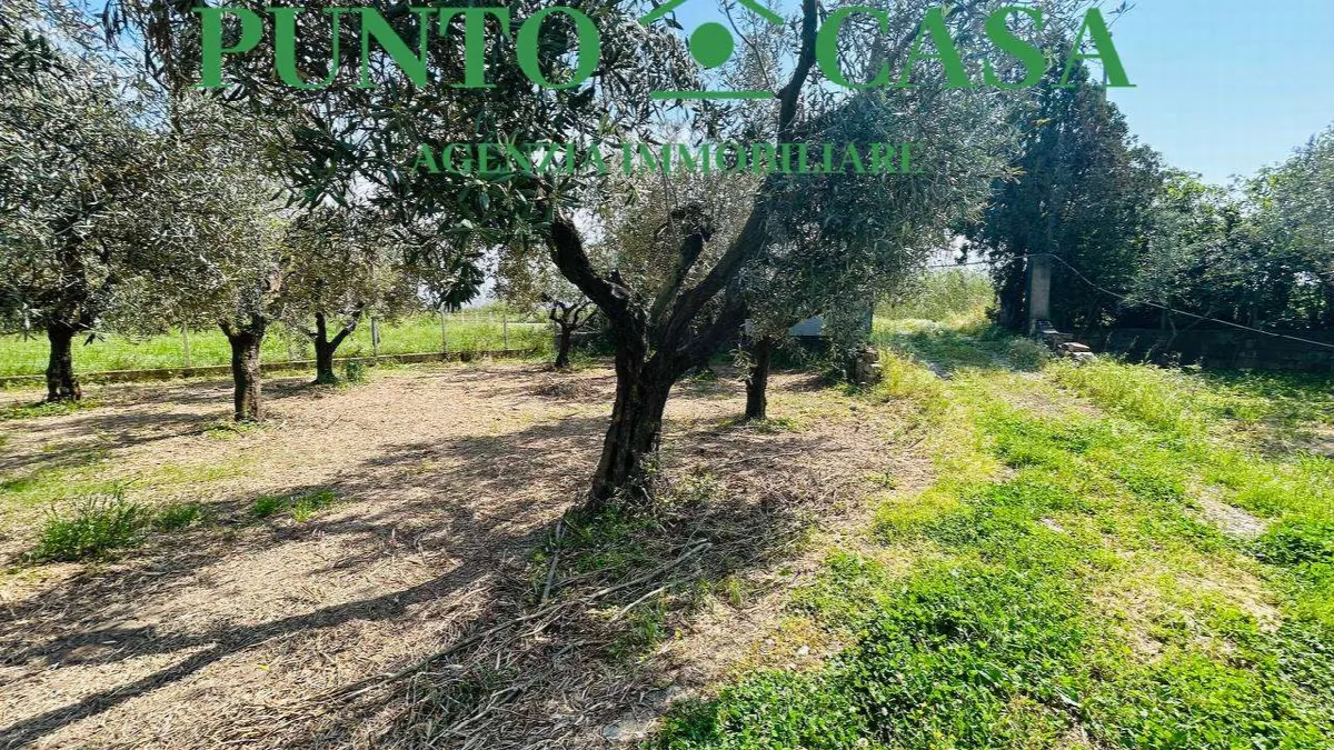 Rustico in vendita a Gizzeria - Mortilla - foto 6