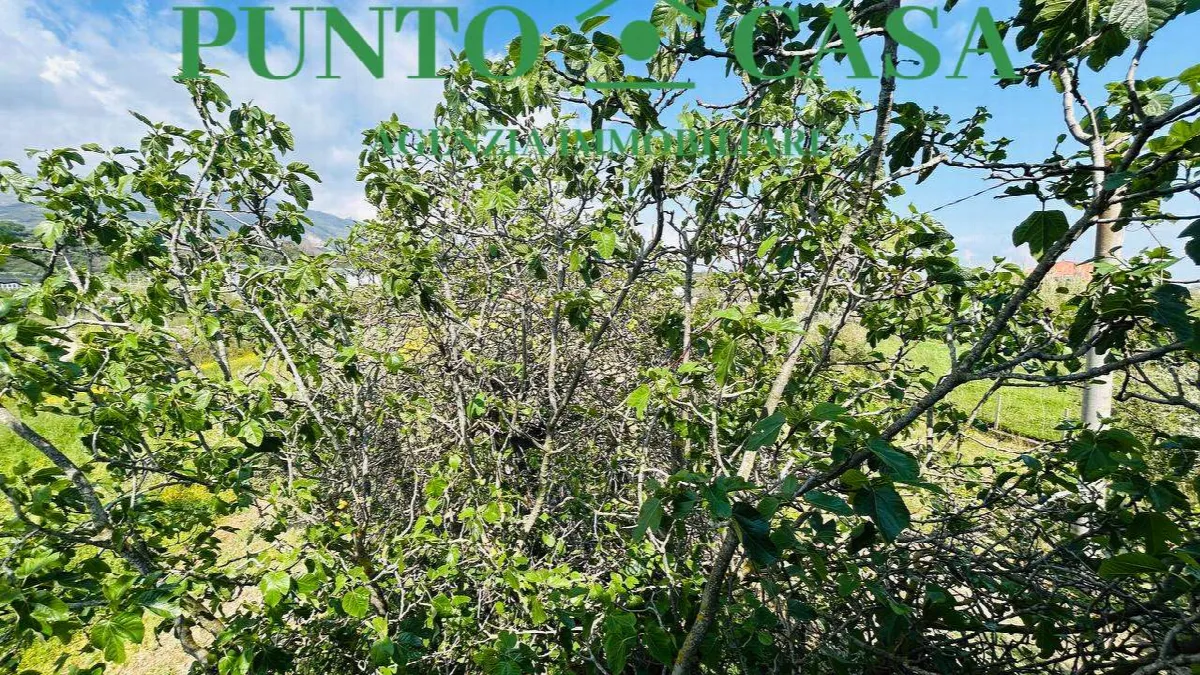 Rustico in vendita a Gizzeria - Mortilla - foto 8