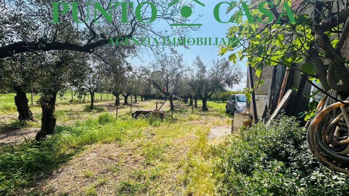 Rustico in vendita a Gizzeria - Mortilla - foto 9