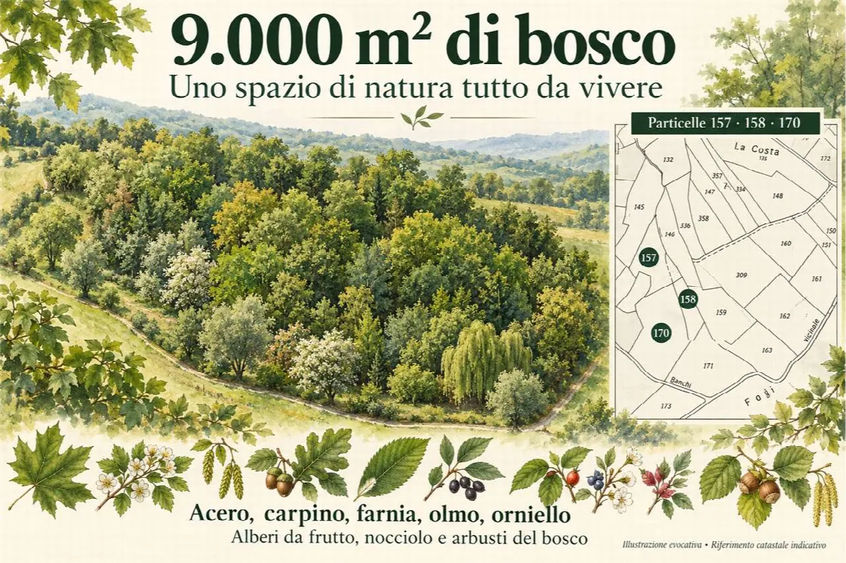 Casa indipendente in vendita a Salsomaggiore Terme - foto 2