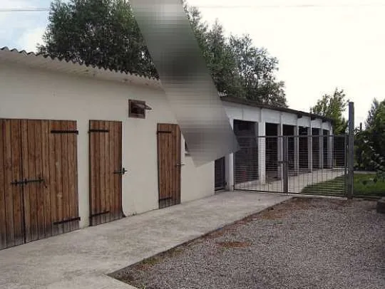 Casa indipendente in vendita a Codevigo - Rosara - foto 3