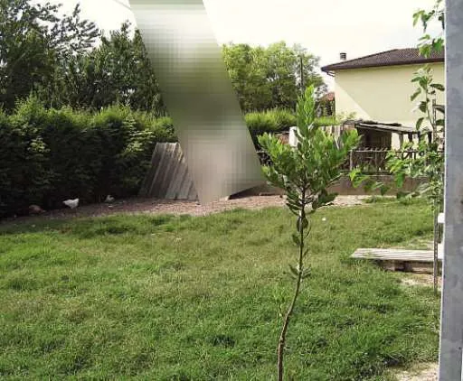 Casa indipendente in vendita a Codevigo - Rosara - foto 4