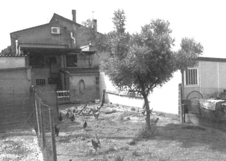 Appartamento in vendita a Montagnana - foto 3