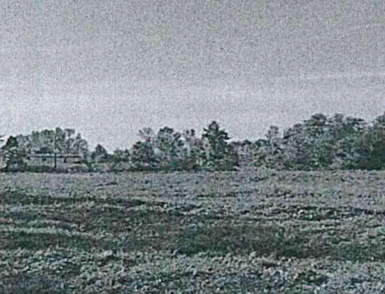 Villetta a schiera in vendita a Trebaseleghe - foto 5