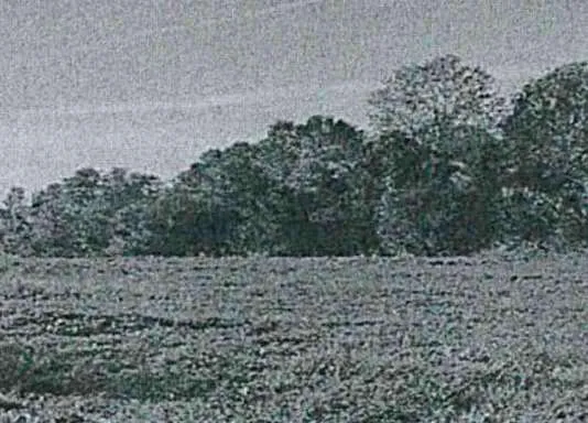 Villetta a schiera in vendita a Trebaseleghe - foto 6