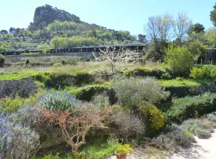 Villa in vendita a Camporosso - foto 9