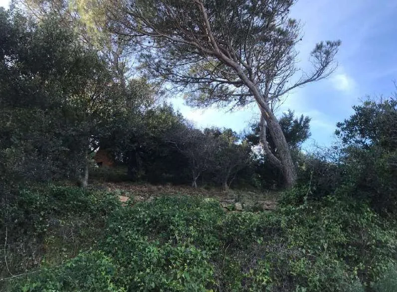 Villa in vendita a Trinità d'Agultu e Vignola - foto 9