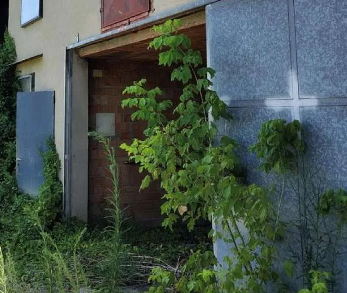 Casa indipendente in vendita a Campolongo Maggiore - Santa Maria Assunta - foto 10