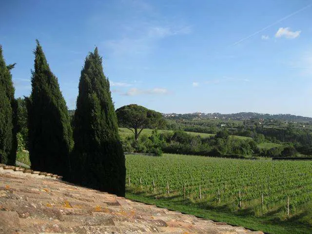Villa in vendita a Grottaferrata - foto 3