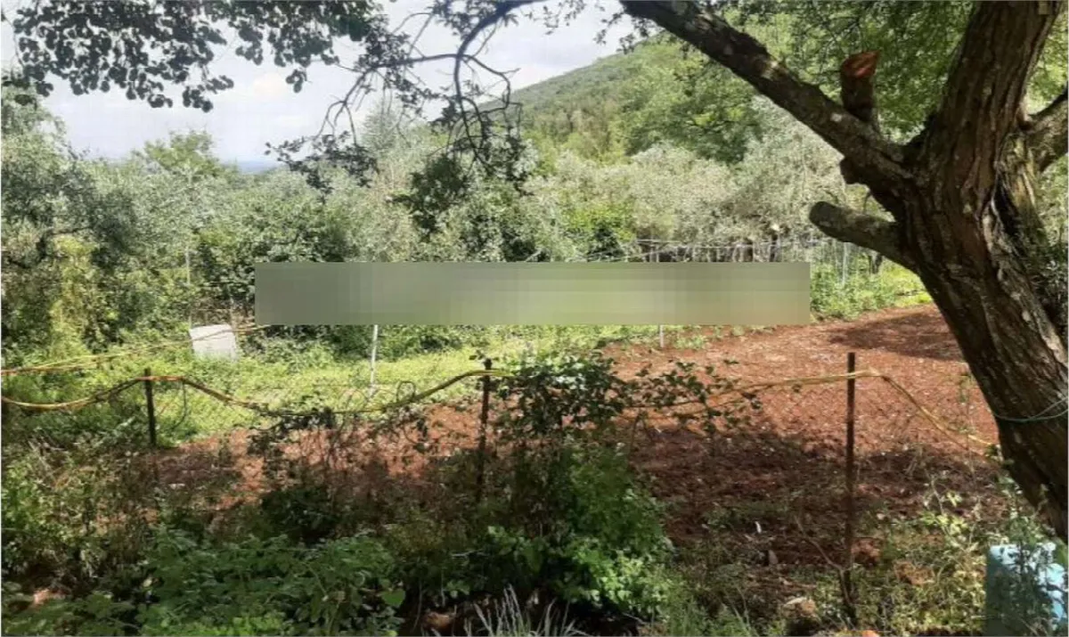 Villetta a schiera in vendita a Moricone - foto 3