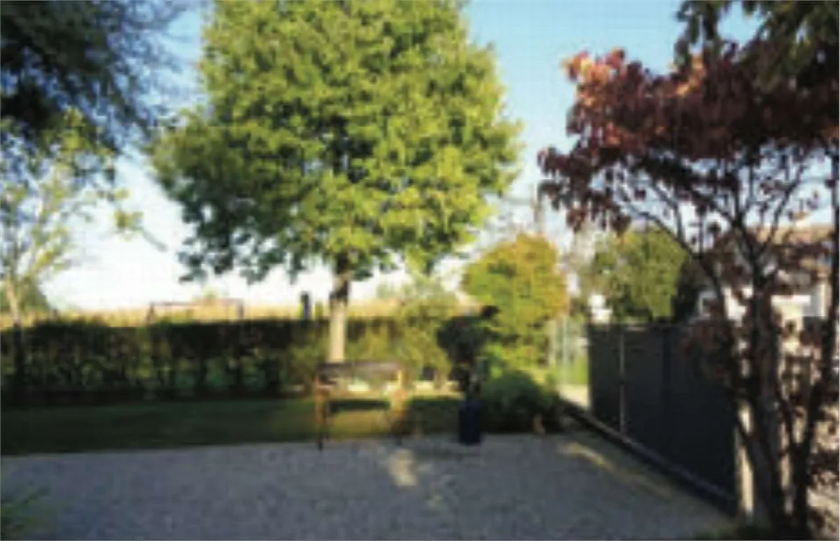 Villa in vendita a Riese Pio X - foto 9