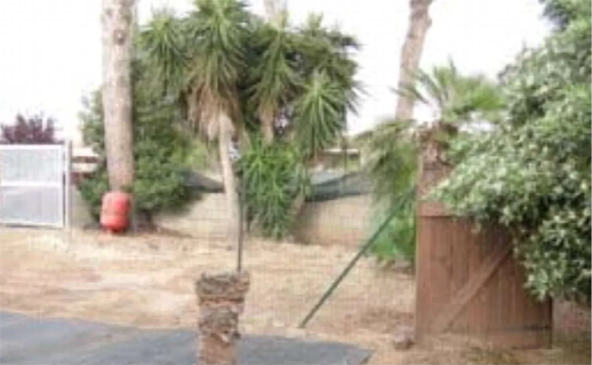Casa indipendente in vendita a Anzio - foto 5