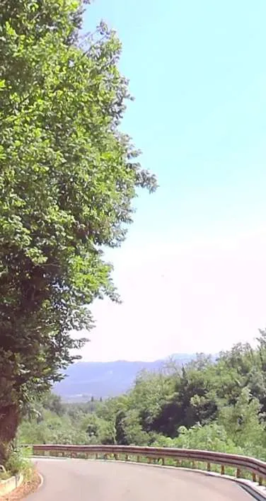 Villa in vendita a Valmontone - foto 9