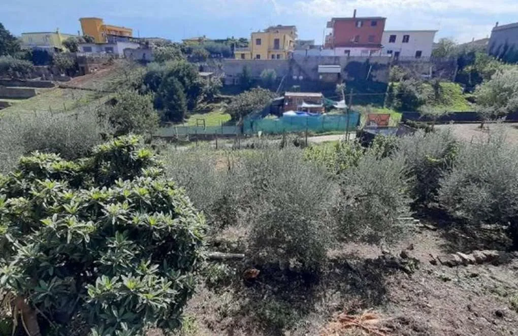Casa indipendente in vendita a Ardea - foto 5