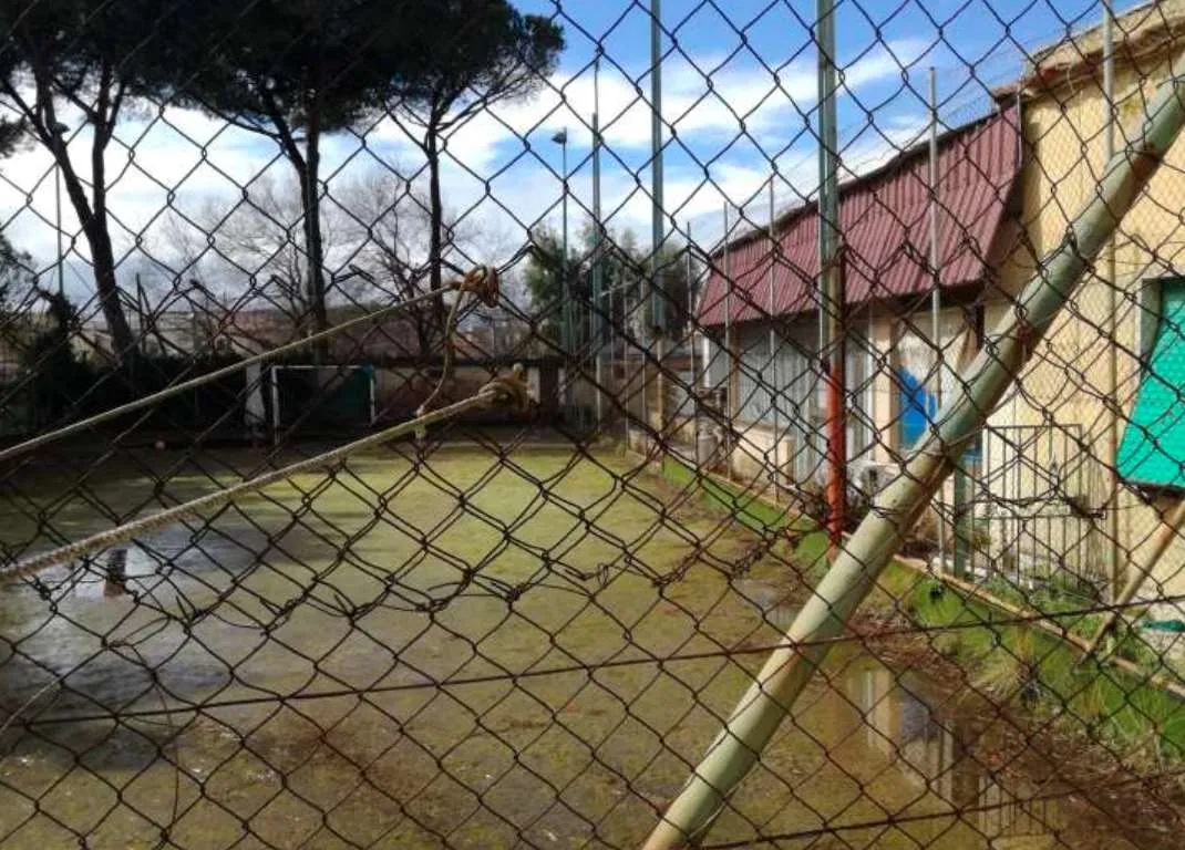 Villa in vendita a Anzio - foto 3