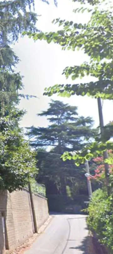 Villa in vendita a Velletri - foto 4