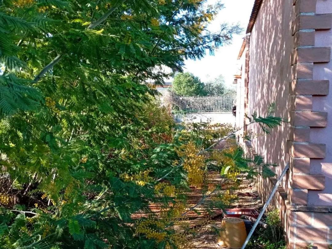 Villa in vendita a Fiano Romano - foto 7
