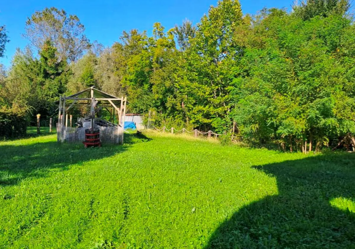 Villa in vendita a Casale sul Sile - foto 8