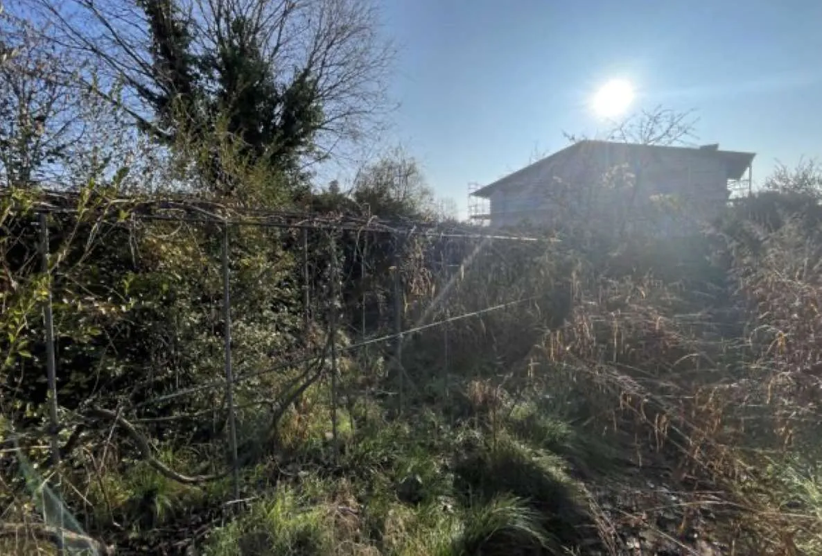 Villa in vendita a Altivole - foto 4