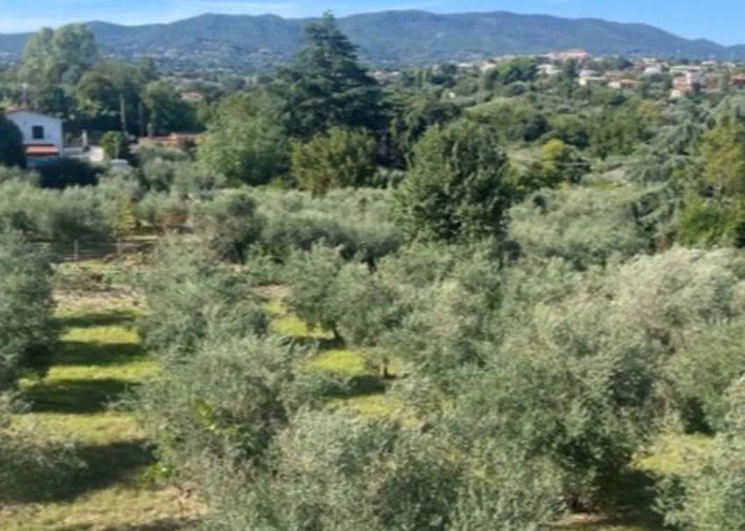 Villa in vendita a Velletri - foto 7