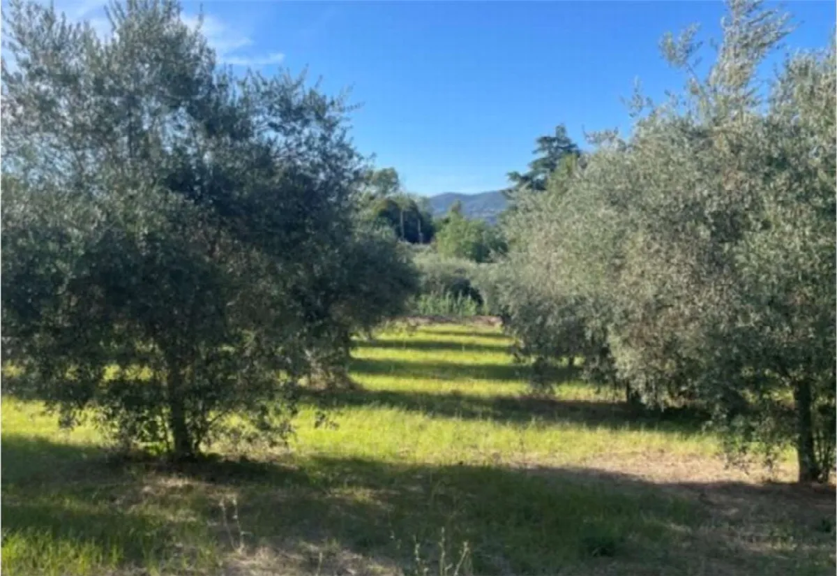 Villa in vendita a Velletri - foto 8