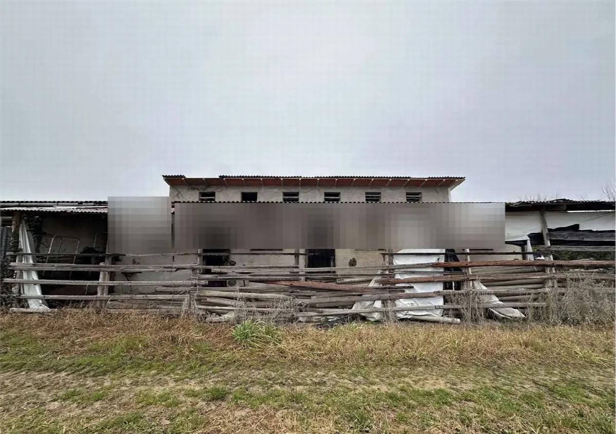Rustico in vendita a Zero Branco - foto 5