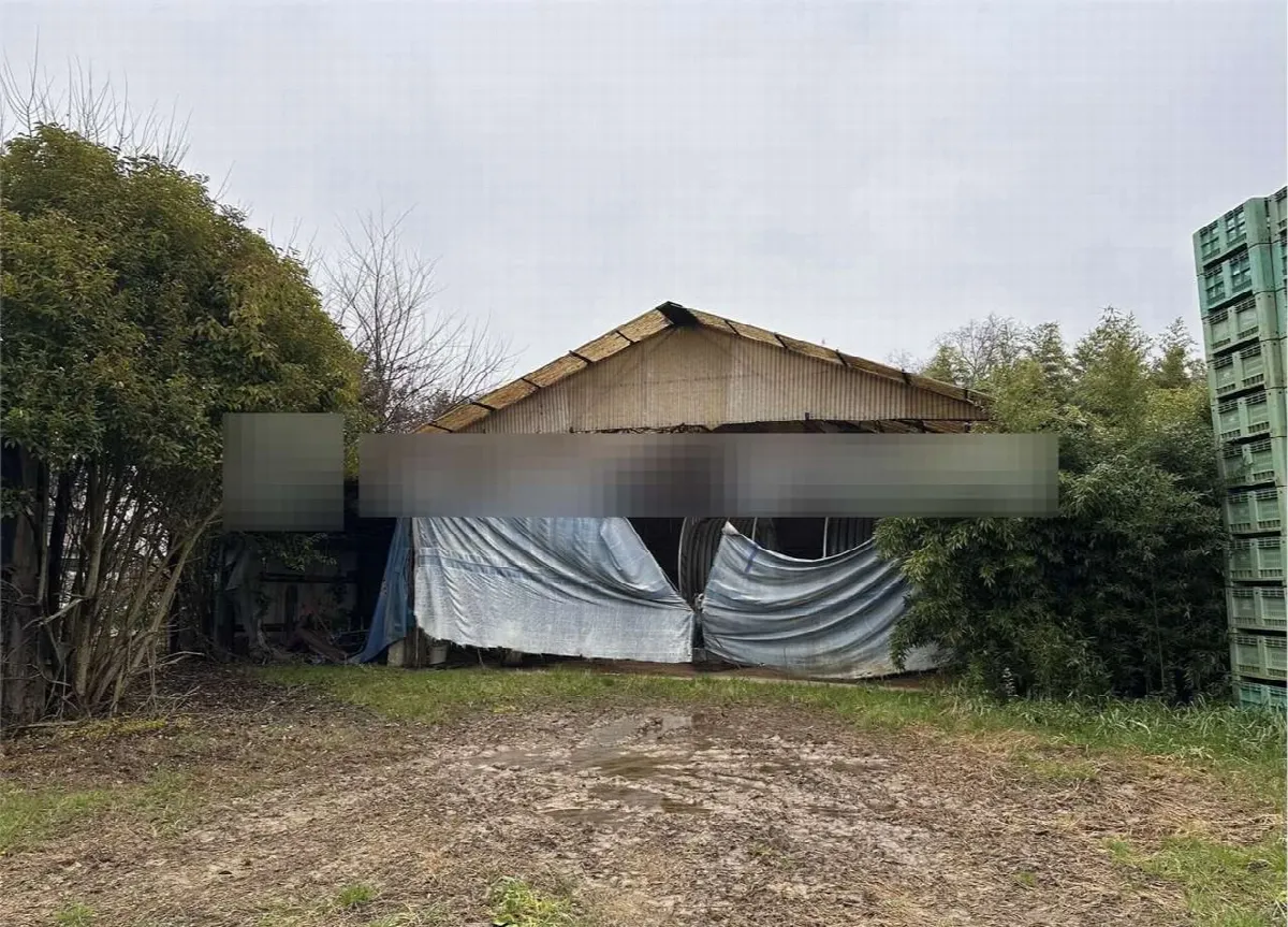 Rustico in vendita a Zero Branco - foto 6