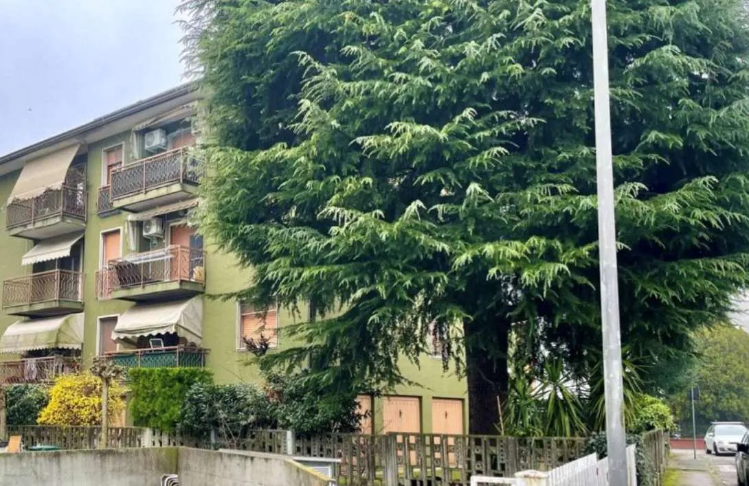 Appartamento in vendita a Scorzè - Gardigiano - foto 5