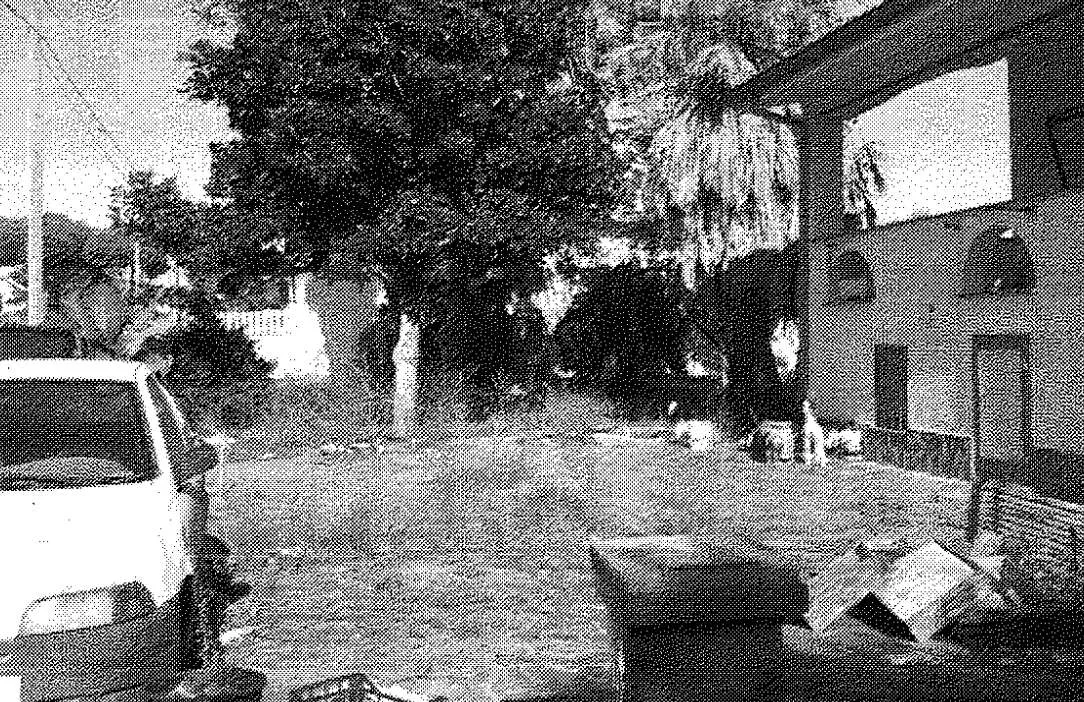 Villa in vendita a Nettuno - foto 10