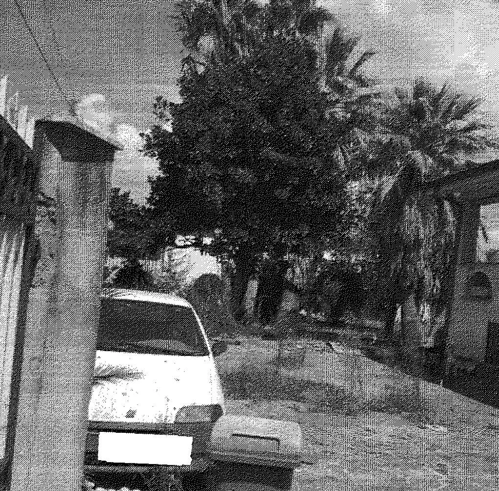 Villa in vendita a Nettuno - foto 6