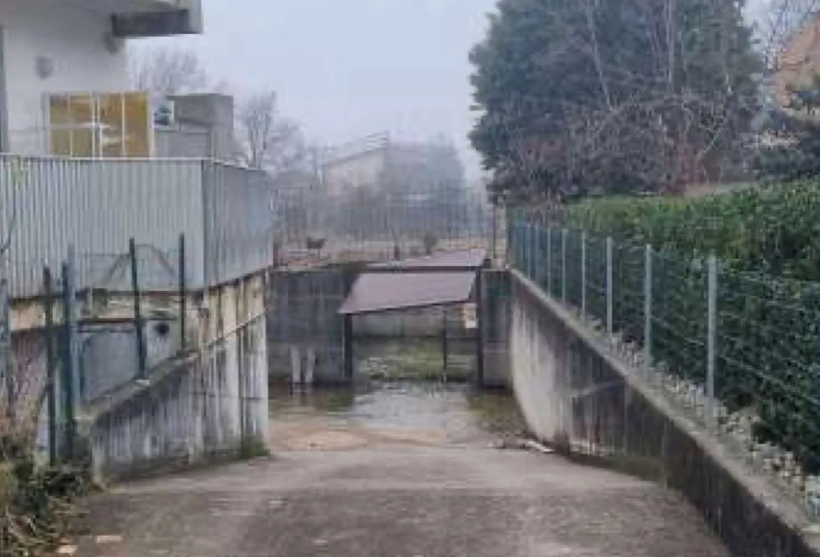 Appartamento in vendita a Ponte di Piave - Negrisia - foto 6