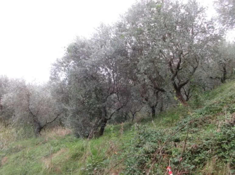 Appartamento in vendita a Marostica - foto 5