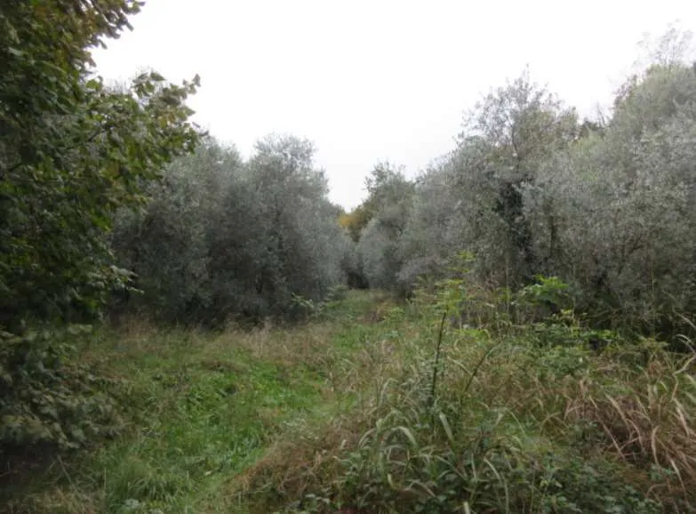 Appartamento in vendita a Marostica - foto 6