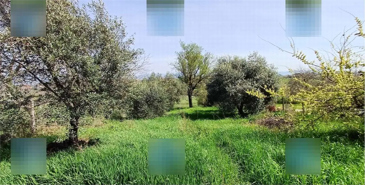 Appartamento in vendita a Zagarolo - foto 8