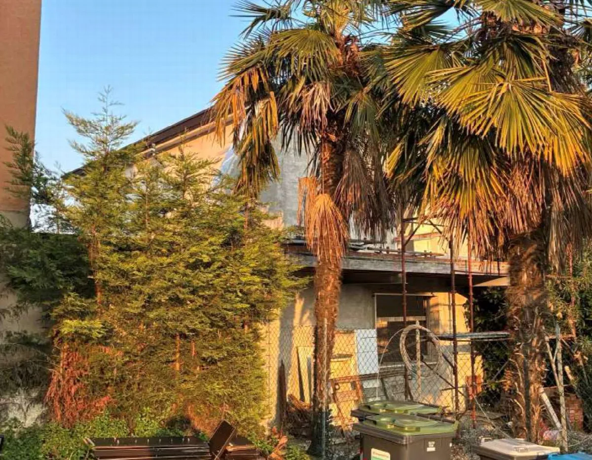 Casa indipendente in vendita a Padova - foto 3