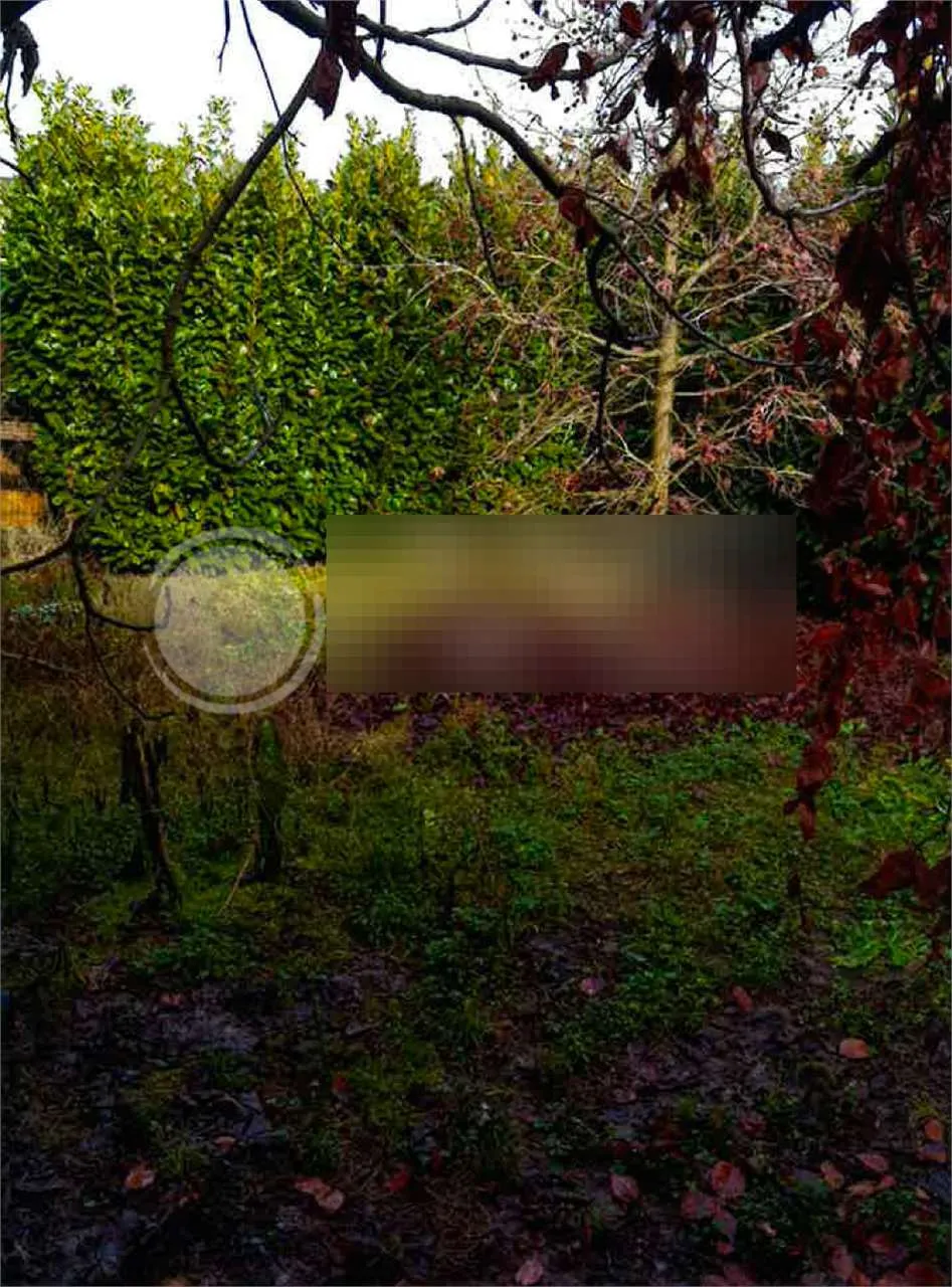Appartamento in vendita a Fontaniva - foto 5