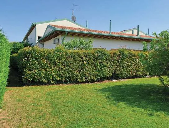 Appartamento in vendita a Treviso - foto 3
