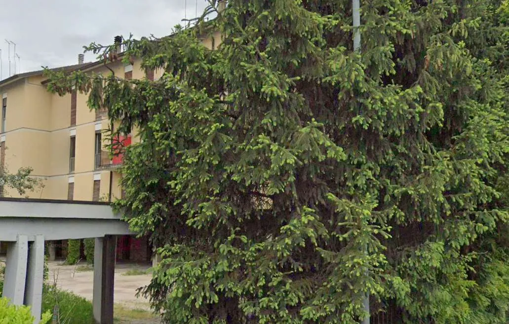Appartamento in vendita a Montebelluna - foto 8