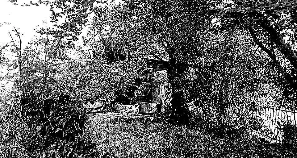 Casa indipendente in vendita a Montebelluna - foto 10